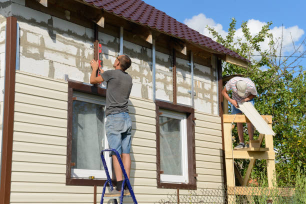 Best Custom Siding Design  in Pilot Mountain, NC